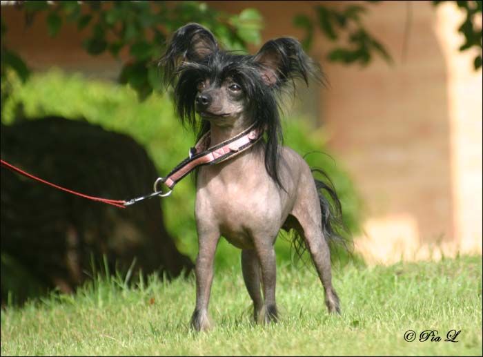 Tiny Diamonds If You Love Me