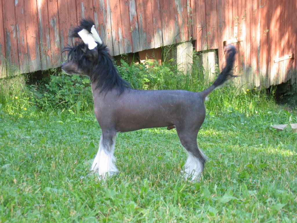 Chattanooga's Wash And Go