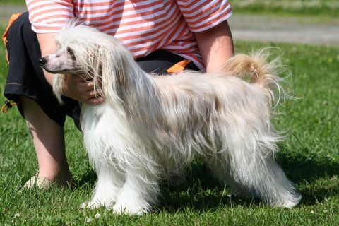 Chattanooga's Yoo-Hoo