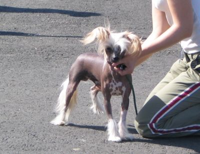 Chattanooga's Yes-Yes