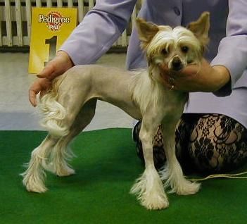 Jamie Lee von Shinbashi