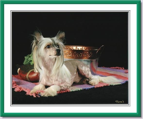 Shida Don't Lose That Number 