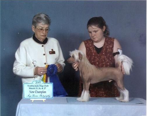 BJ's American Idol At Lindawn