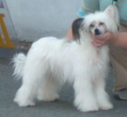 Sanillan All In Tiny One