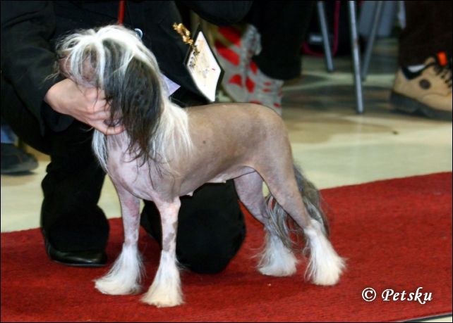 Hebblas Delicious Demi