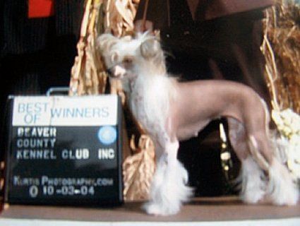 Kasma's Witches Candy