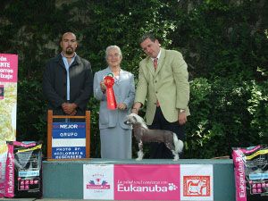 Kalan's Life Of The Party