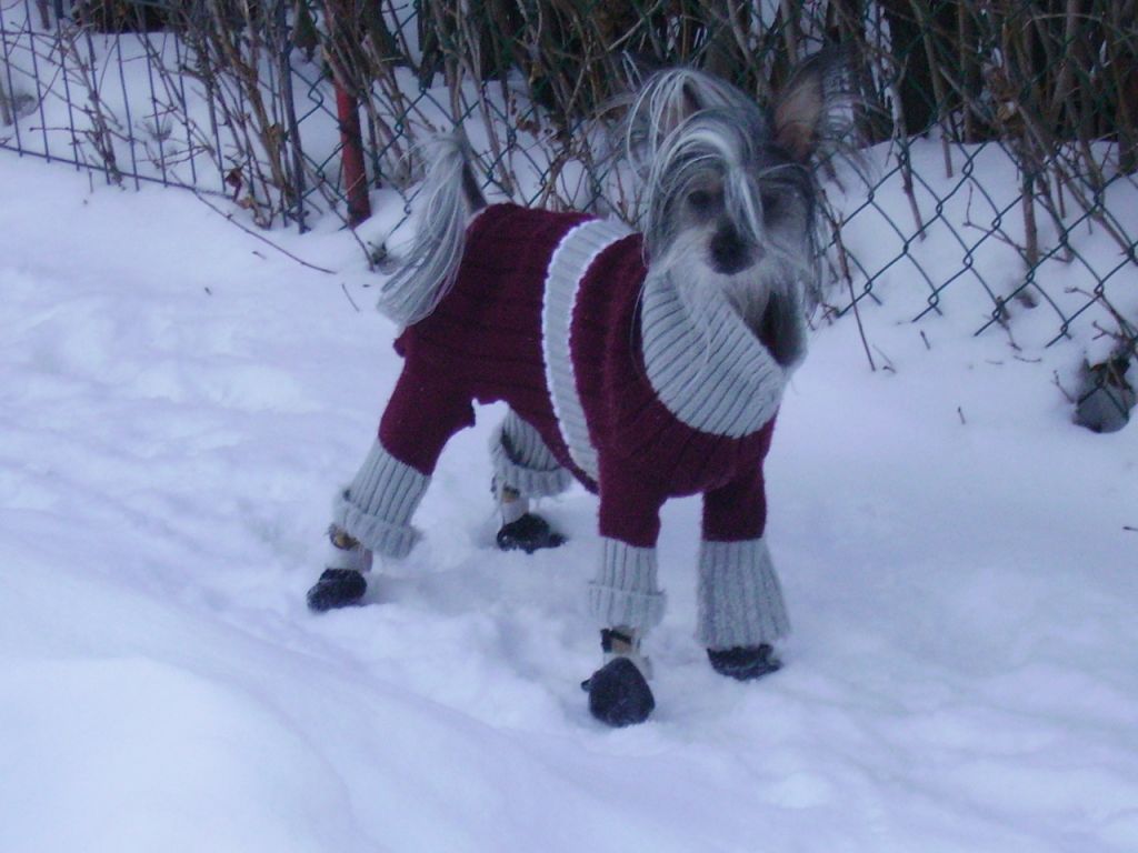 Marbels Rhythm Divine