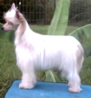 Kalan's The L With You