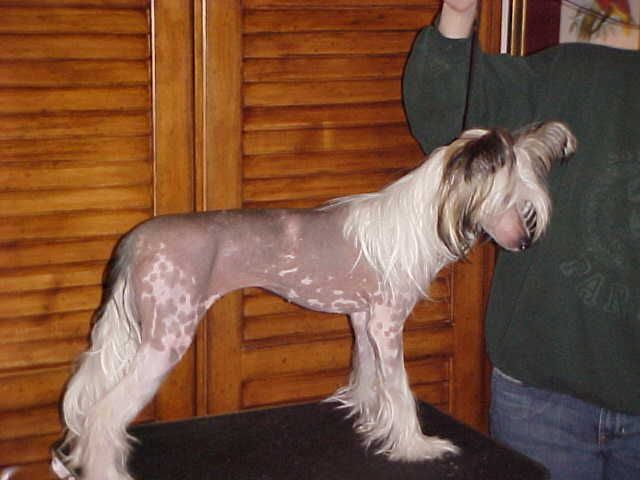 Tacori's Hope Diamond