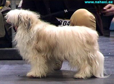 Di Gabriellas Quando