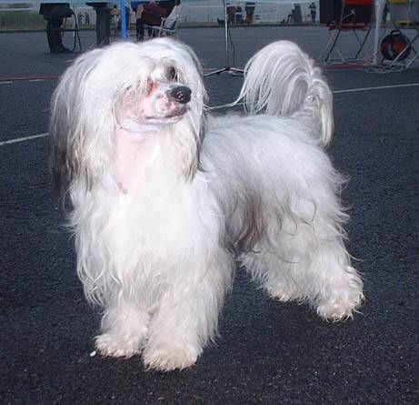 Claudio z Jasne Hvezdy