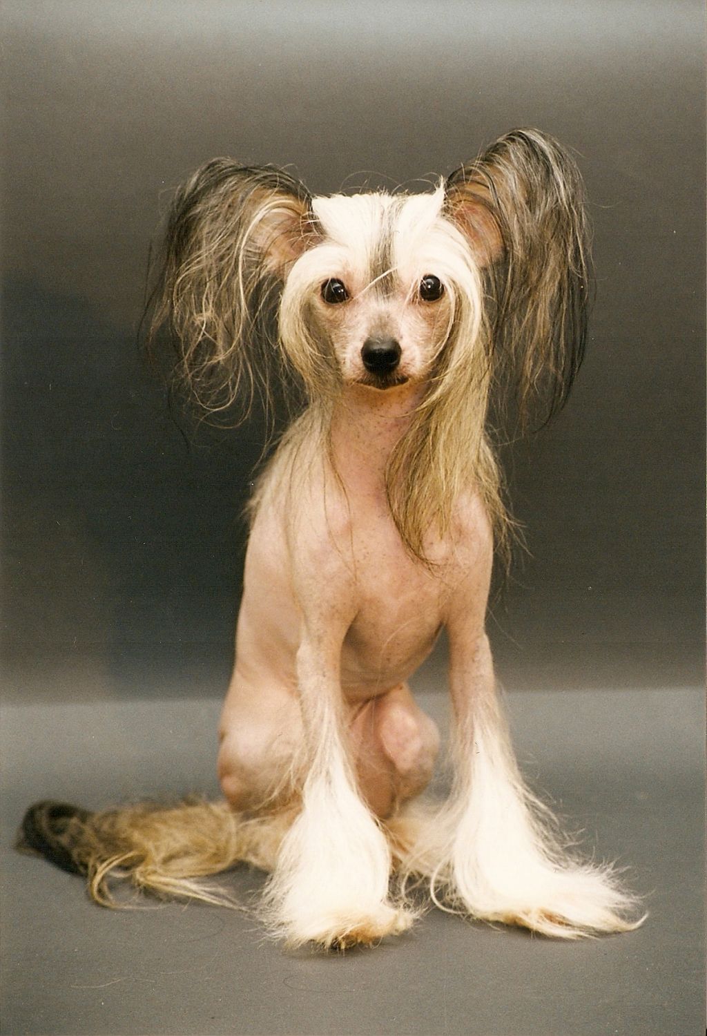 Audrey Hayyah Mahtob