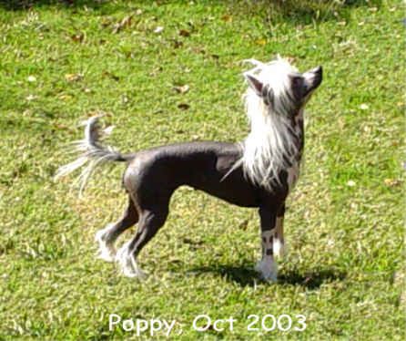 Redland's Best Kept Secret