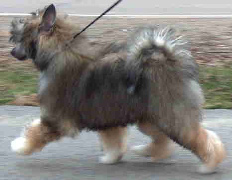 RockyBays Vampires Seduction