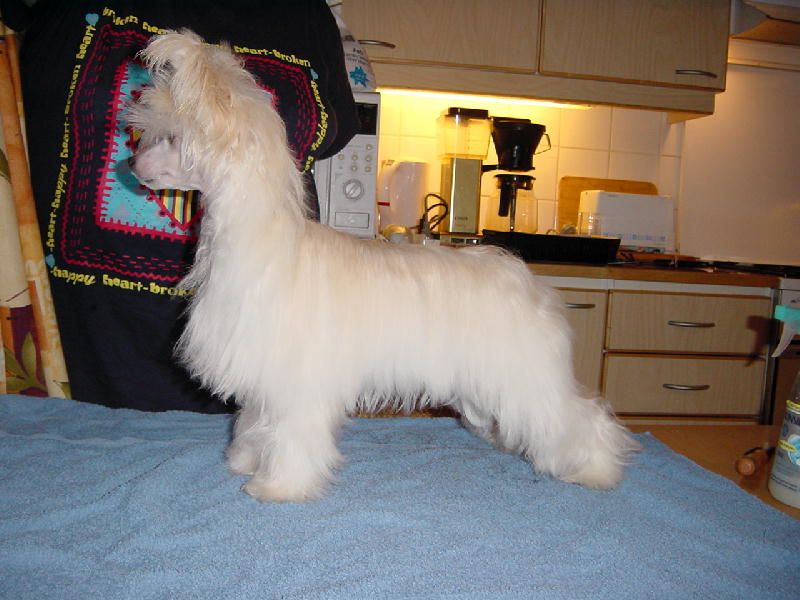 Zhannel's Teeny Weeny