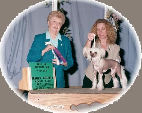 Heartesha's Lady Guenevere