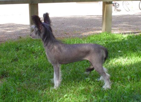 Candy Queen's Somebody Loves Me