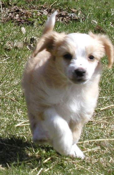 House of Landfari Art-of-Noise