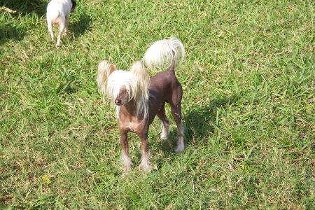 Unicorn's Do Be Sirius