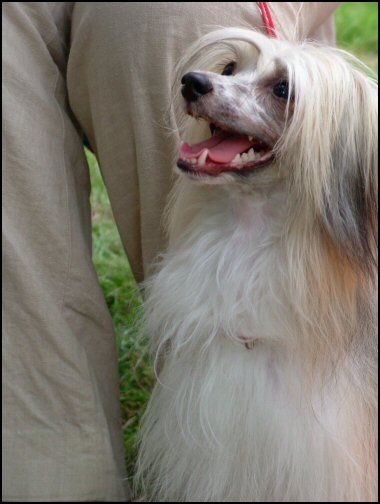 Clio spod Sadeckiej Chmurki