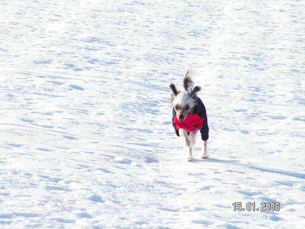 May's mile Blackdown Loreen