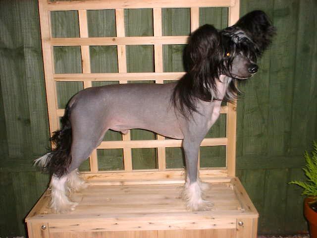 Habiba Shine For Us At Sophijace