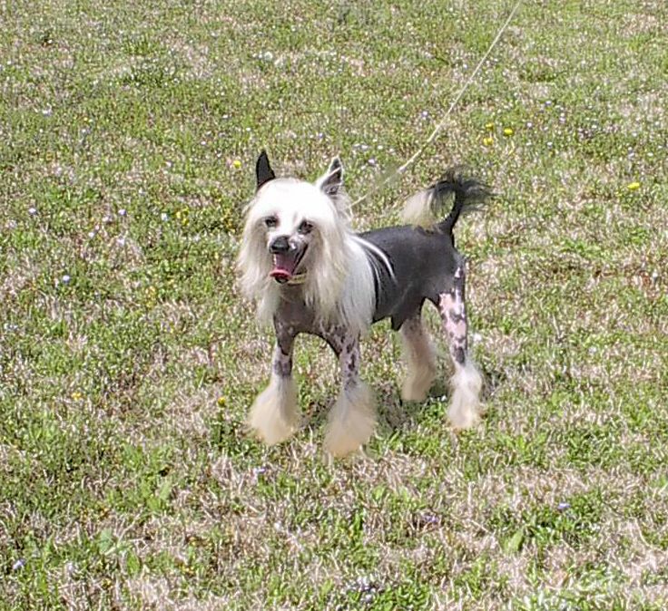 Rainbo's Ice Ice Baby