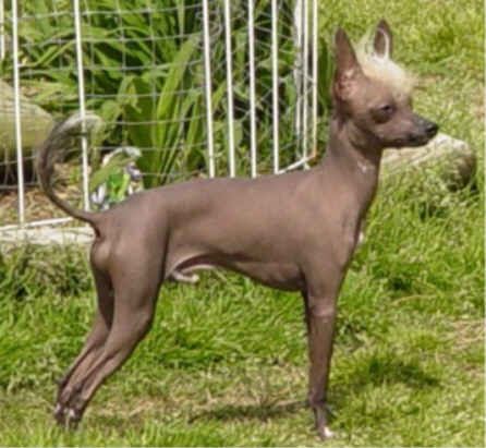 Jonbrecy's Keeper Of Redland