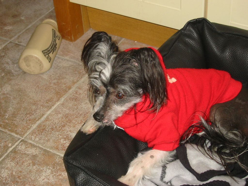 Tamarsh Must Be Love