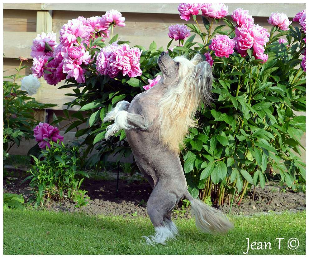 Belshaw's Off Course