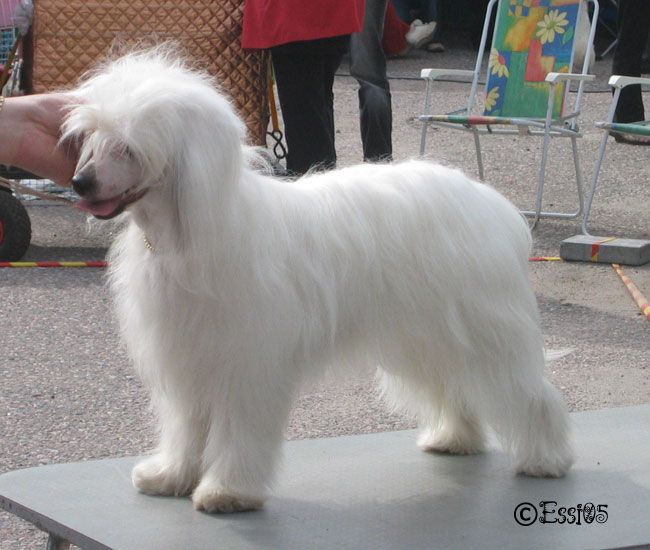 Galathea de GabriTho