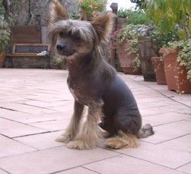 I'o Solo Solo de GabriTho