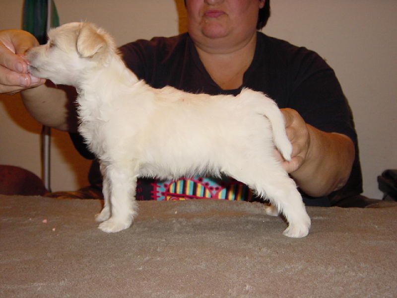 Zhannel's Tootsy Wootsy