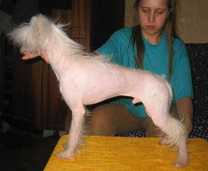 Tamerlan Beshtau Raj Ili Ad