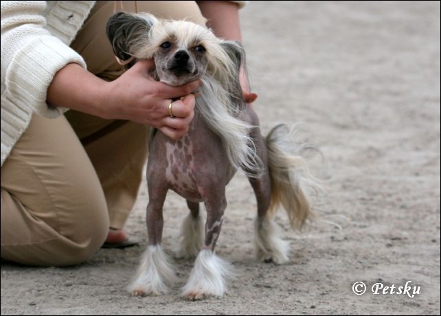 Camelina's Ravishing Ronja 