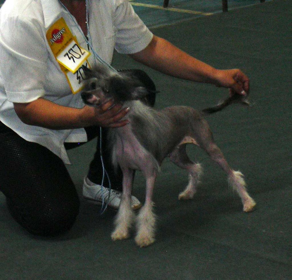 Tamerlan Beshtau Chernaja Mest Konkurentam