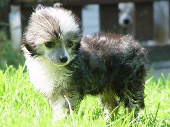 Esmeralda For Mady's Love