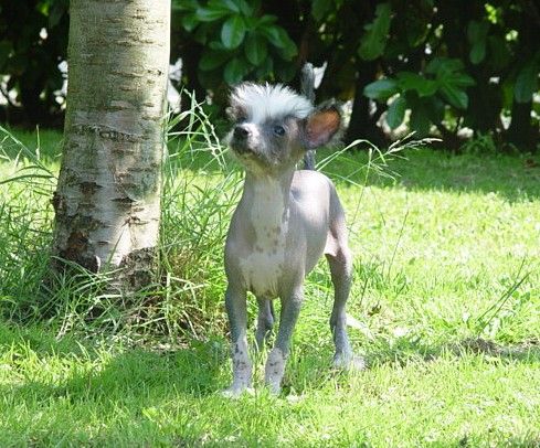 Emma For Mady's Love