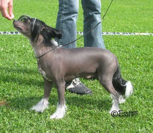 Shadowgame's Hot Rumour