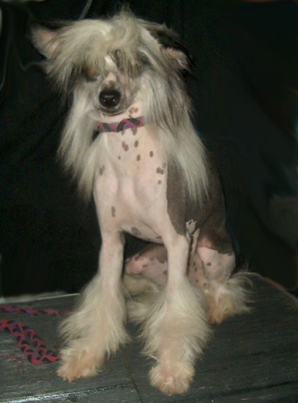 Spiritual Two Legends