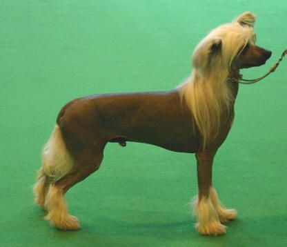 Habiba Rock My World