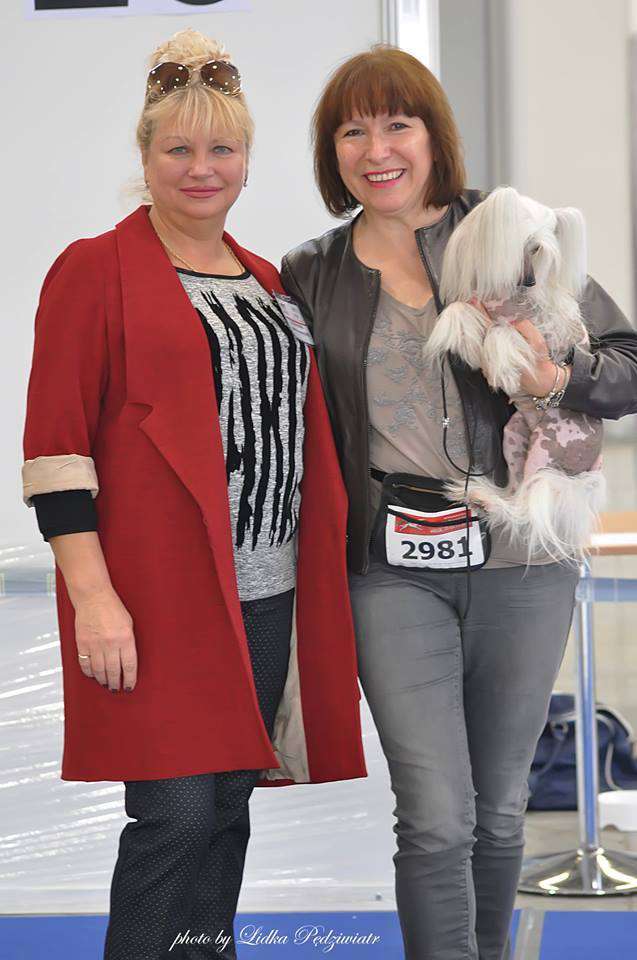 Secret na Wage Zlota