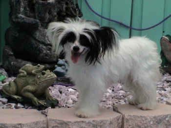 Bluestone Images of Desire