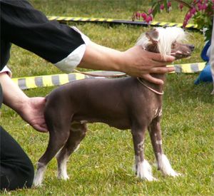 Frasquita De GabriTho