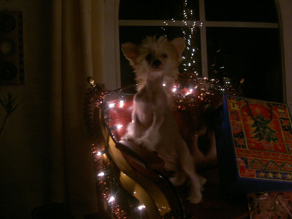 Vanila Gift Sub-O-Divo