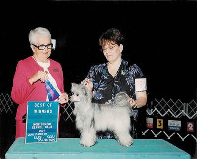 Brooklyn's Sabrina of Zydeco