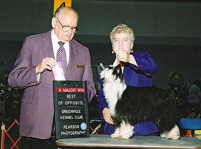 Hylite's Celestial Destiny