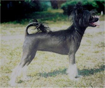 Daria Bertusowa Polana