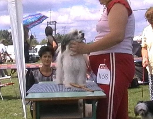 Sziklásdombi Esther